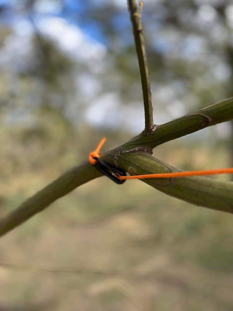 Load image into Gallery viewer, Best Camping Clothesline – Weather-Resistant &amp; Retractable
