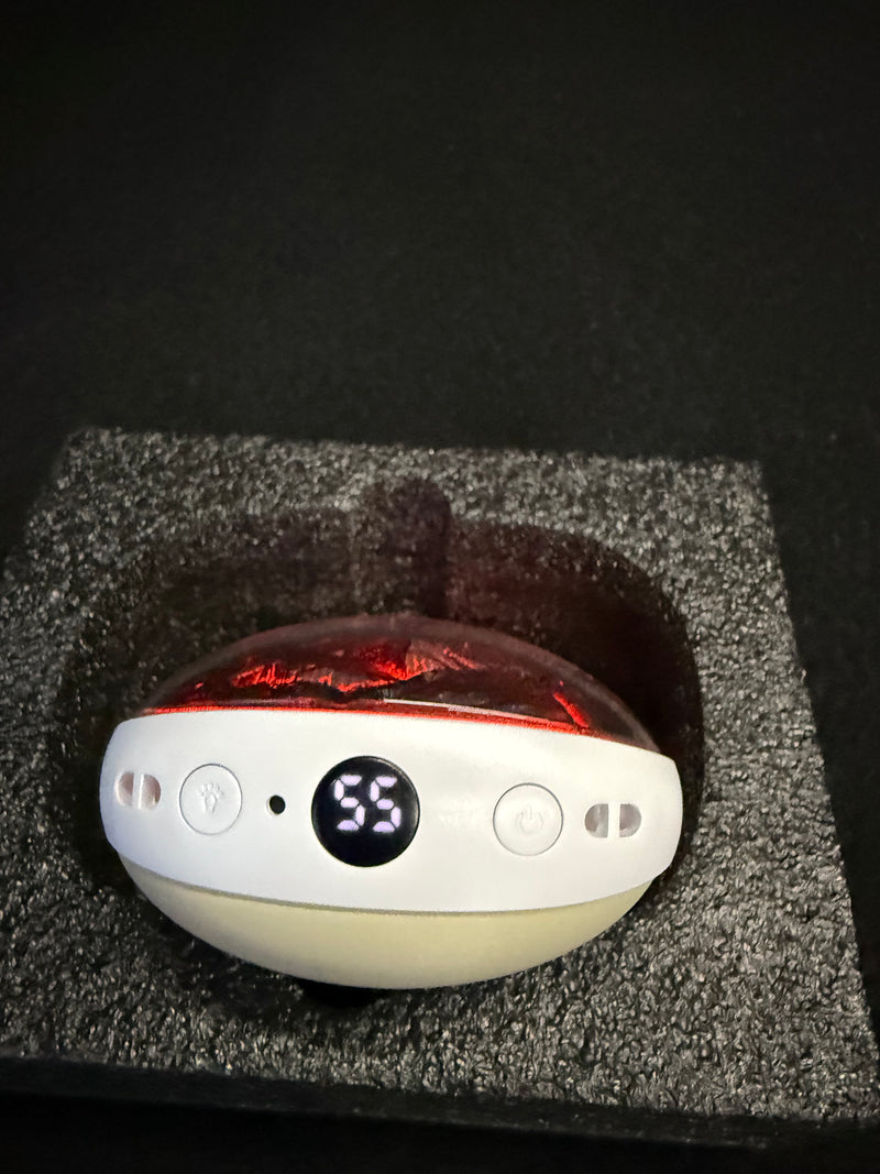 Load image into Gallery viewer, Compact Electric Hand Warmer with Lanyard and Charging Cable

